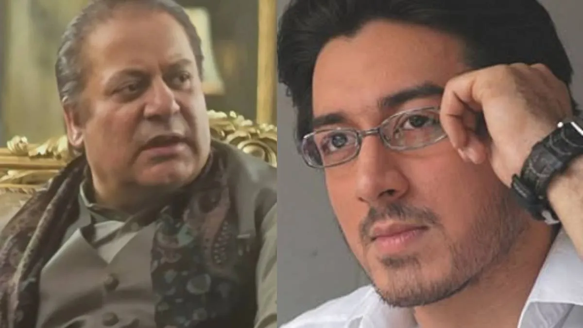 Dhurandhar 2 nawaz sharif aka Mashhoor Amrohi- India TV Hindi