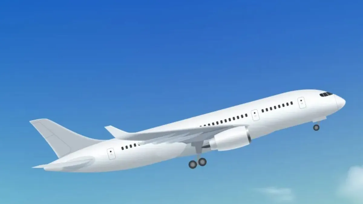 emergency landing- India TV Hindi