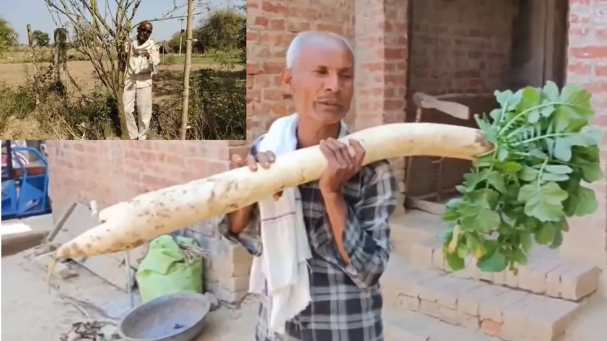 Farmer- India TV Hindi