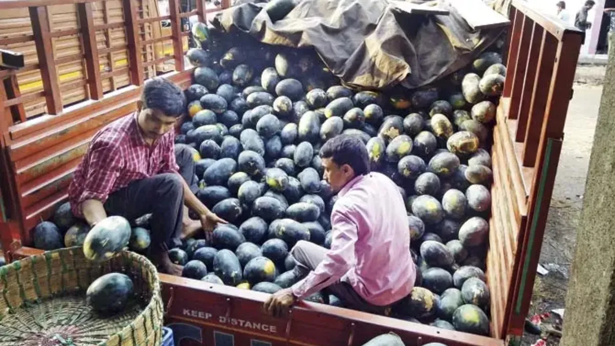 फ्रूट मार्केट में...- India TV Paisa