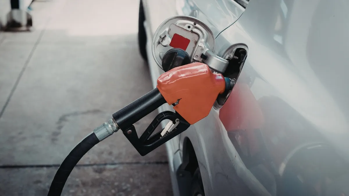 भारत के पड़ोसी देशों...- India TV Paisa