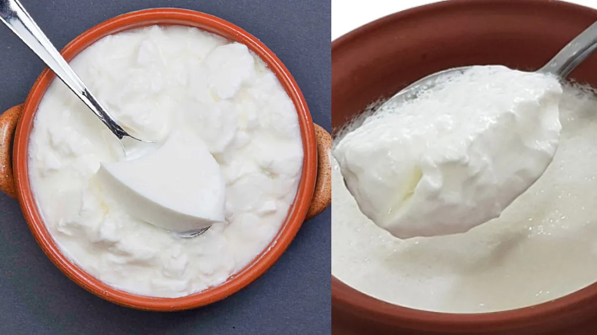गाढ़ा दही कैसे जमाएं- India TV Hindi