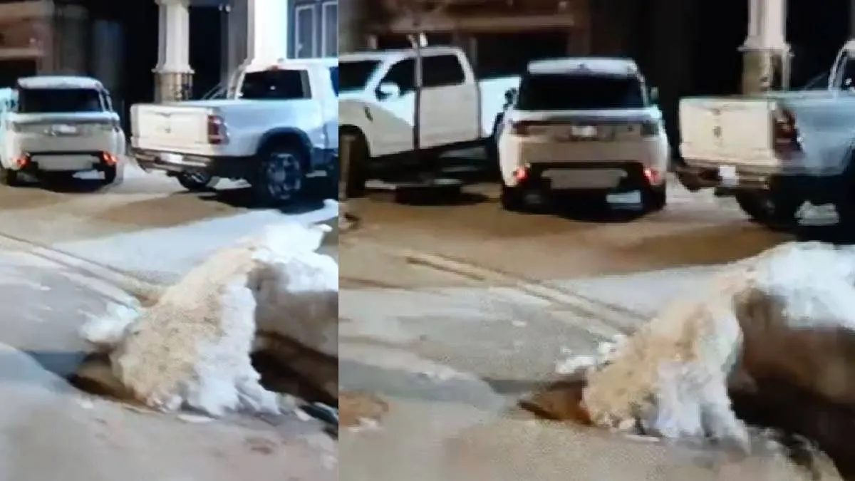 रोहित गोदारा गैंग ने कनाडा में लगातार दूसरे दिन की फायरिंग- India TV Hindi