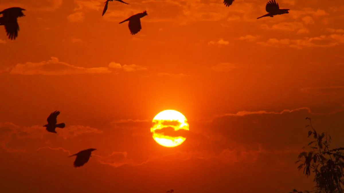 देश के कई राज्यों में गर्मी बढ़ी- India TV Hindi