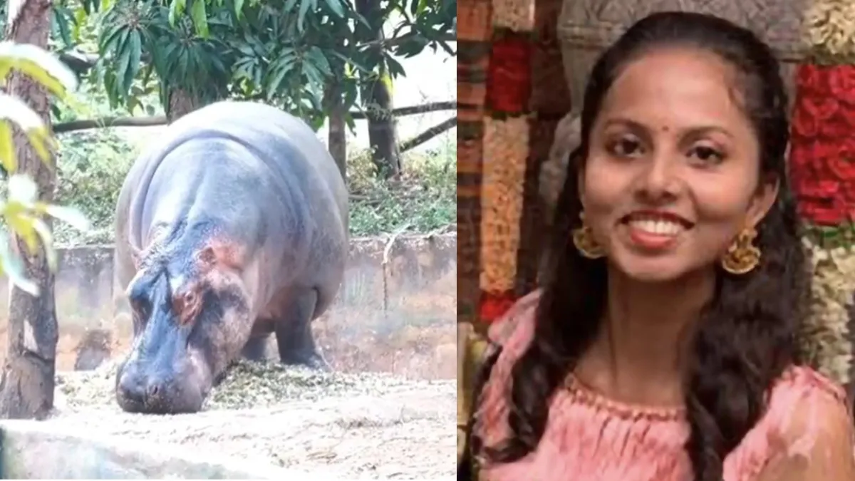 Shivamogga Hippopotamus attack death- India TV Hindi