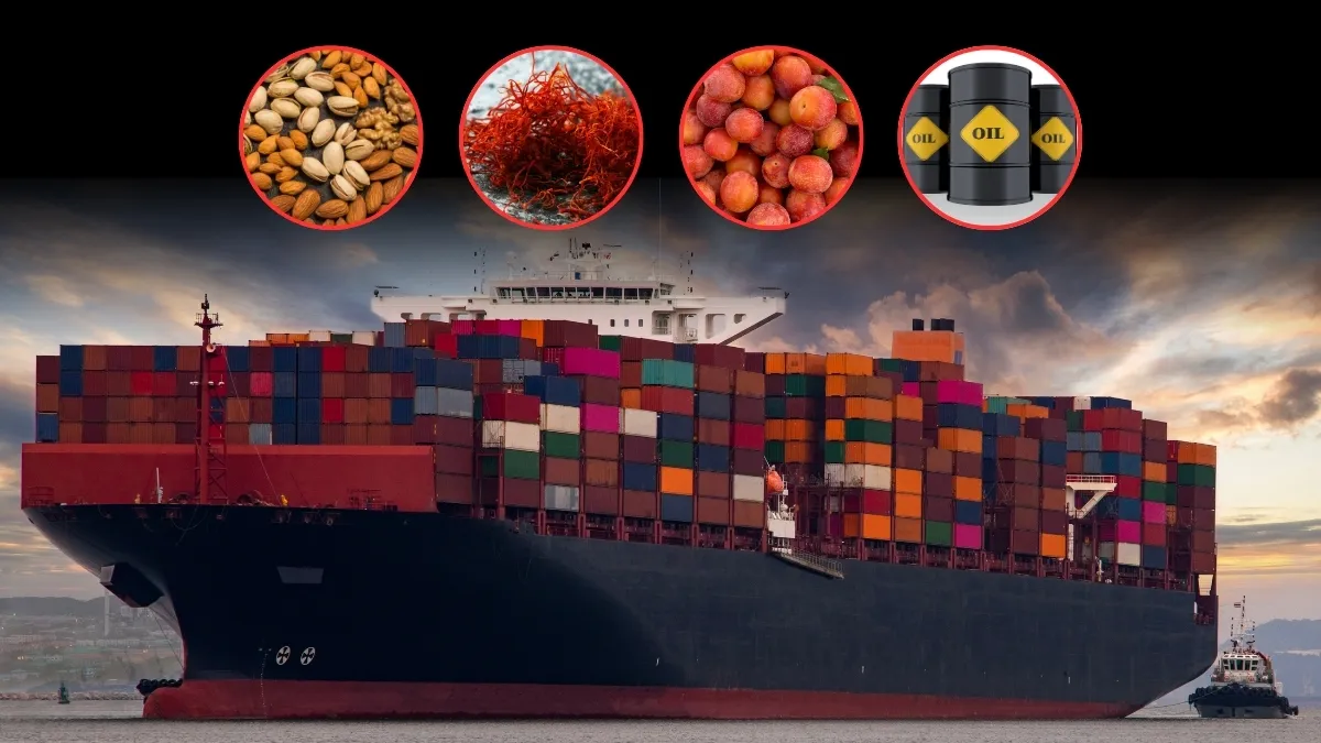 भारत ईरान से क्या...- India TV Paisa