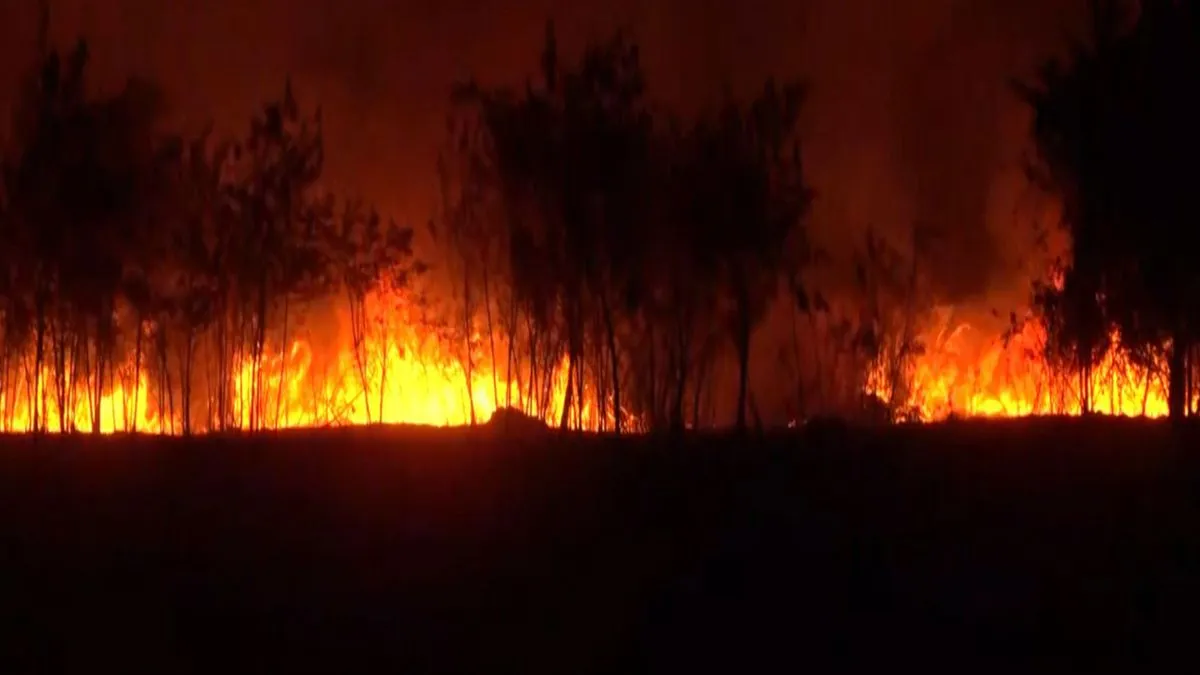 Indore airport fire, Devi Ahilya Bai Holkar Airport fire, Indore fire news- India TV Hindi