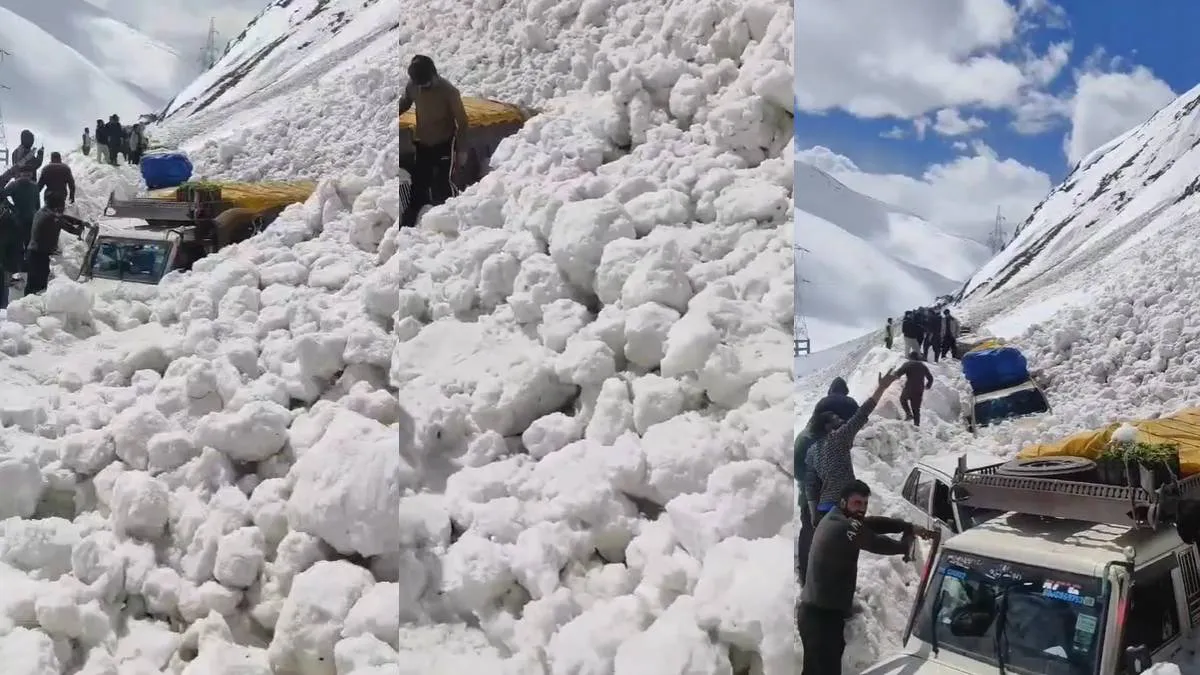 लद्दाख के ज़ोजिला में एवलांच- India TV Hindi