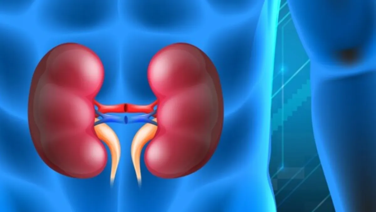 किडनी से जुड़ी बीमारियां- India TV Hindi