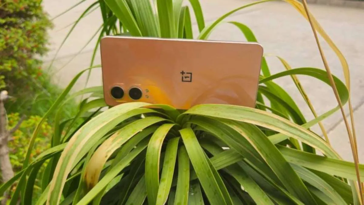 OnePlus Nord 6- India TV Hindi