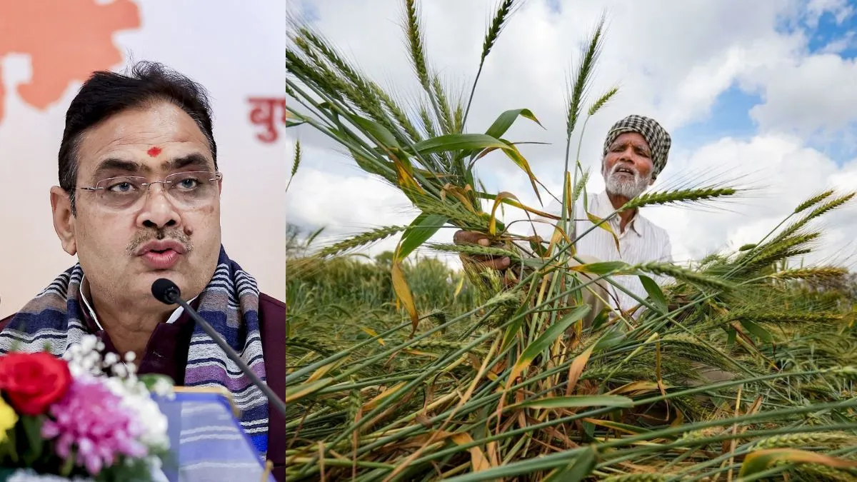 Rajasthan unseasonal rain, crop damage Rajasthan farmers, Bhajanlal Sharma orders survey- India TV Hindi