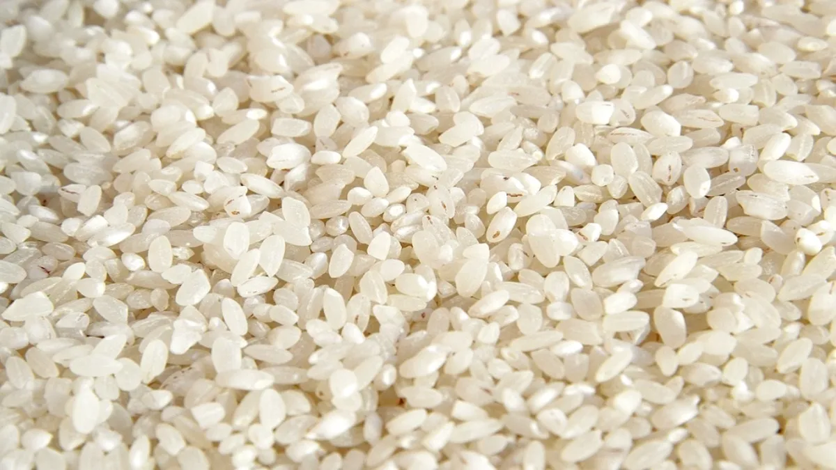 मौजूदा समय में सरकार लगभग 80 करोड़ लोगों को मुफ्त अनाज उपलब्ध कराती है, जिसमें करीब 25% ब्रोकन राइस - India TV Hindi