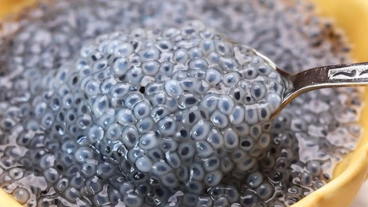 सब्जा के बीज- India TV Hindi