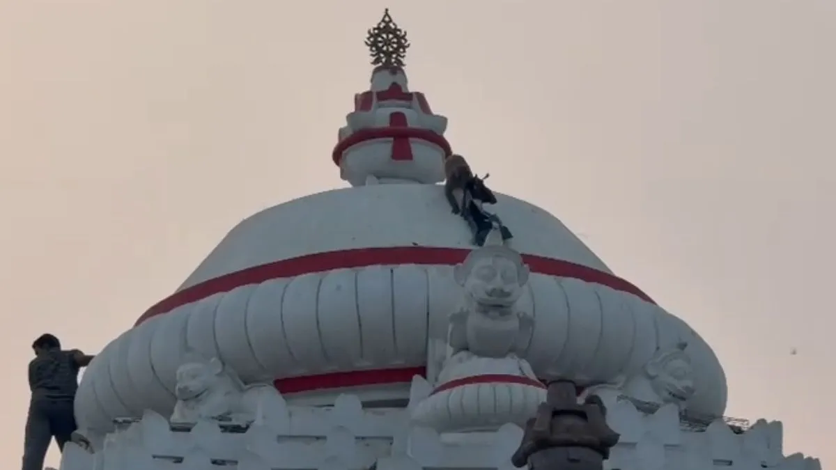 बैग लेकर गुंबद पर चढ़ गया बंदर।- India TV Hindi