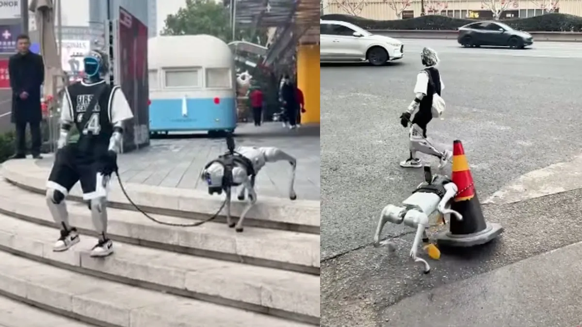 वायरल वीडियो का स्क्रीनशॉट।- India TV Hindi