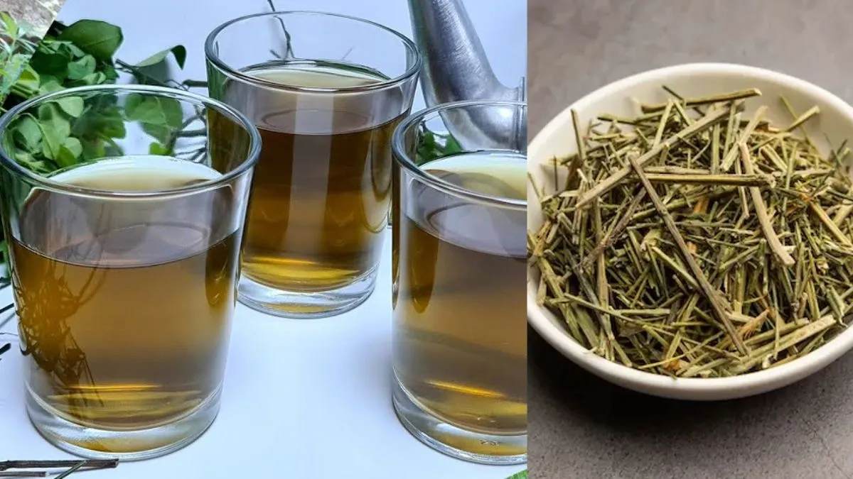 रोजाना सुबह चिरायता पीने से क्या होता है?- India TV Hindi