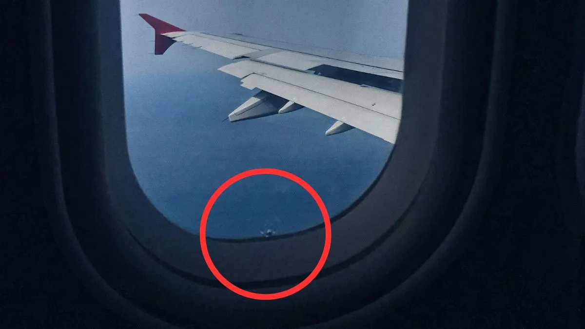 Airplane Amazing Facts, Airplane Interesting Facts, Airplane Window Facts, Hole in Airplane Window- India TV Hindi