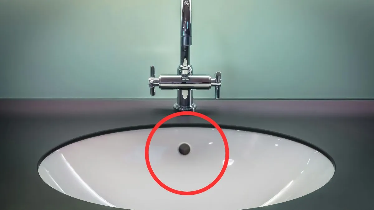 Wash Basin Amazing Facts, Washroom Basin Facts, Amazing Facts- India TV Hindi