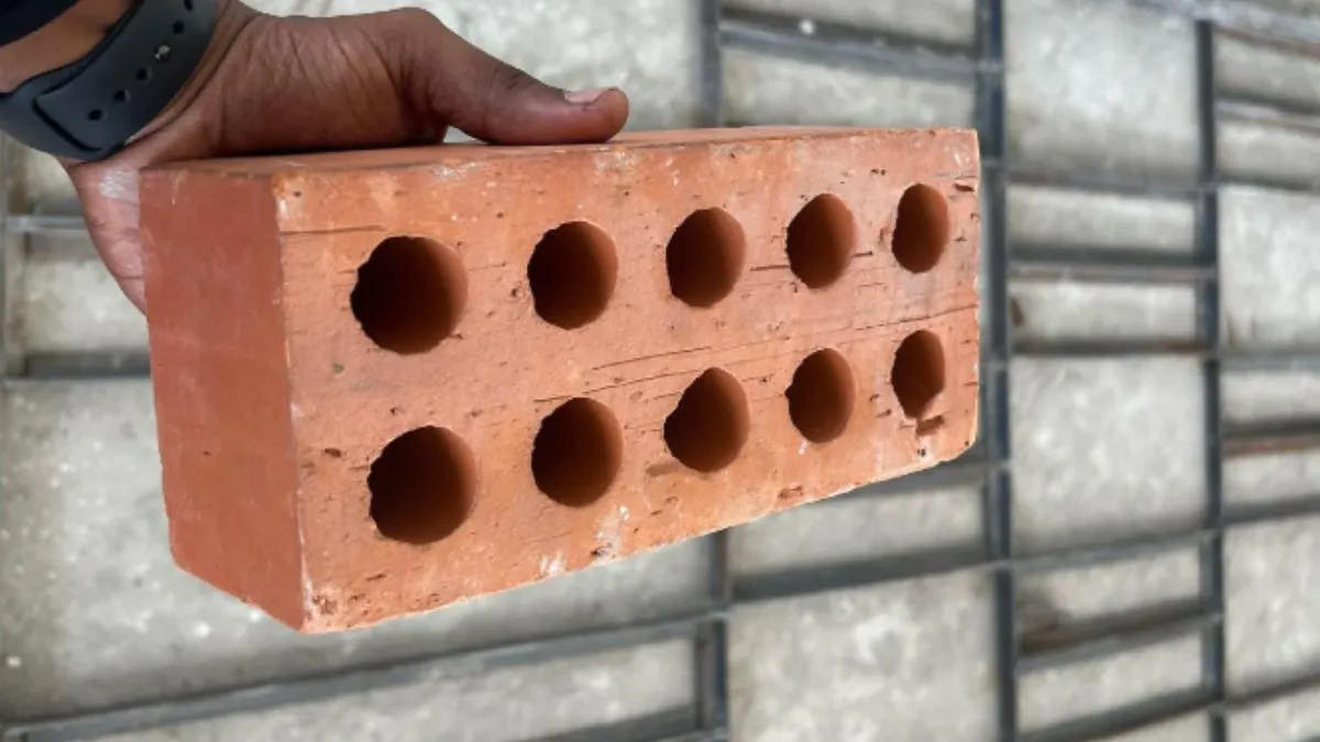 Amazing Facts About Bricks, Why Do Bricks Have Holes- India TV Hindi