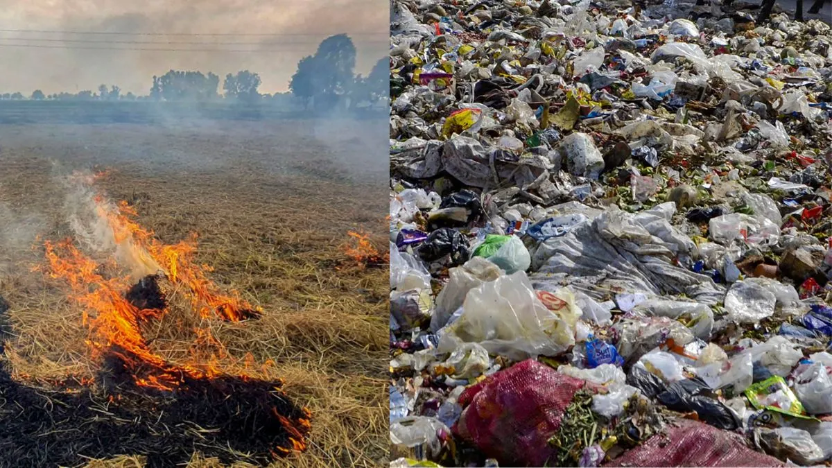 Pollution- India TV Hindi