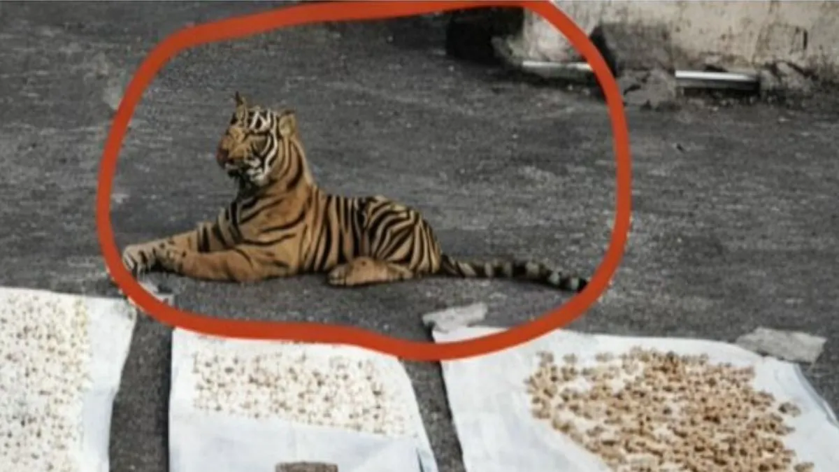 वायरल फोटो का स्क्रीनशॉट- India TV Hindi