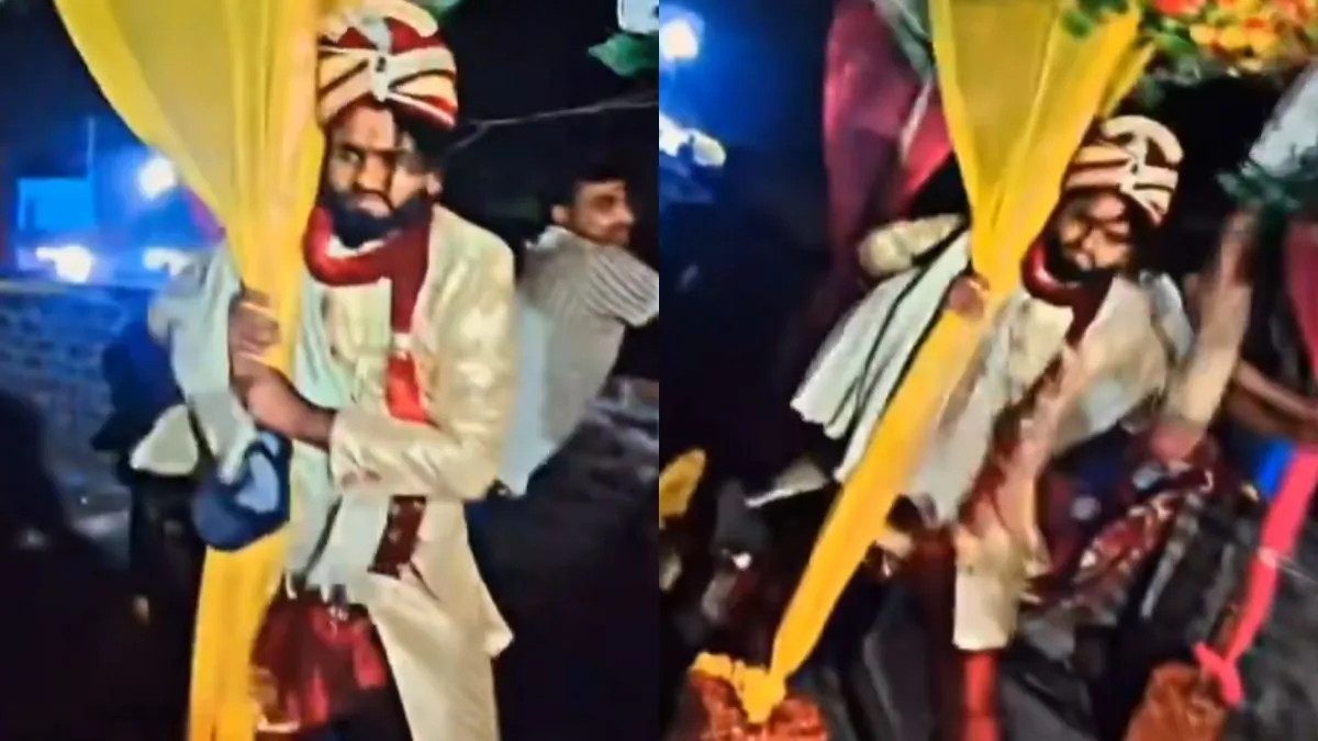 वायरल वीडियो का स्क्रीनशॉट- India TV Hindi