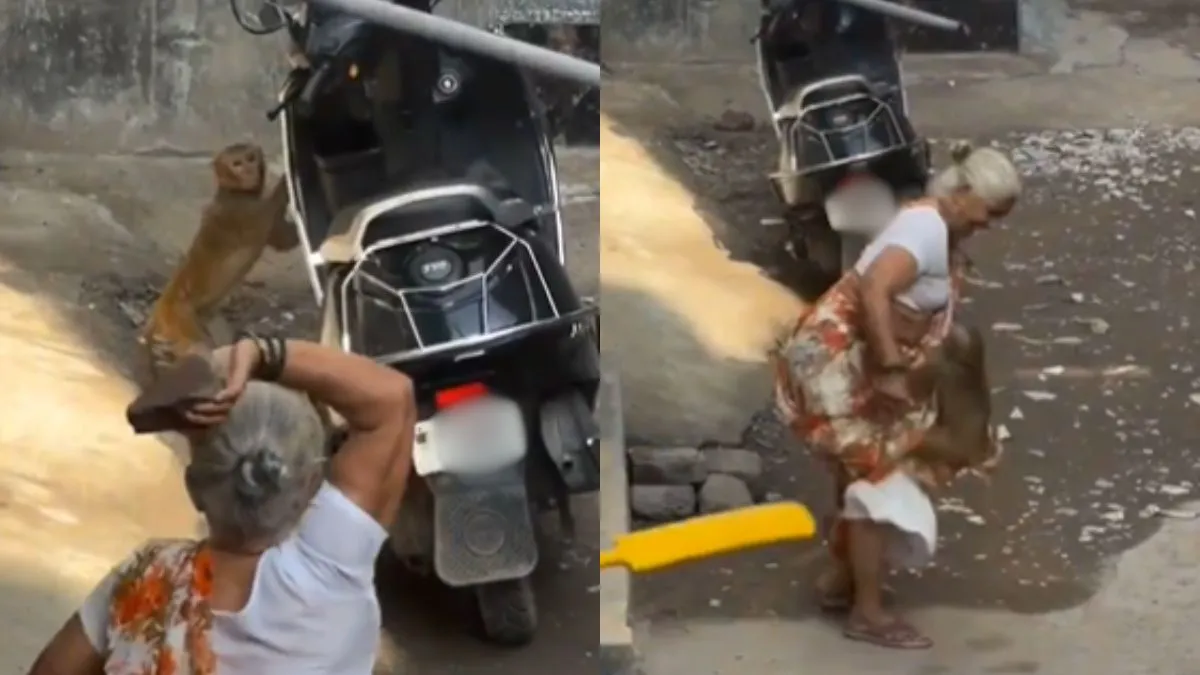 वायरल वीडियो का स्क्रीनशॉट- India TV Hindi