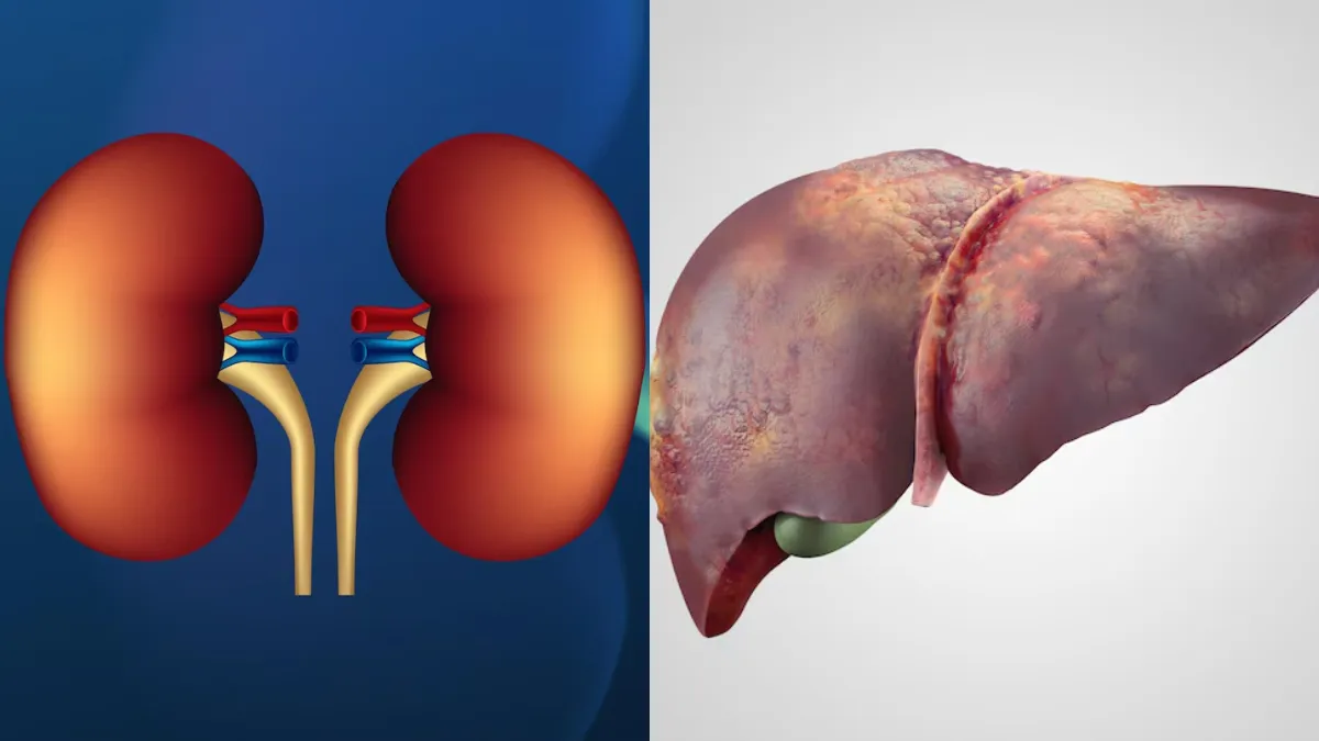 लिवर और किडनी के लिए सब्जी- India TV Hindi