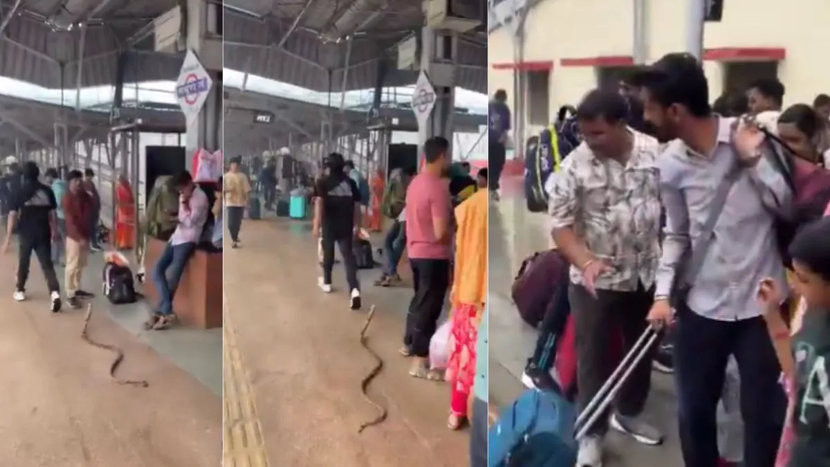 Snake Prank Video, Mathura Railway Station Video, Aaj Ka Viral Video : नकली सांप से प्रैंक करने वाले- India TV Hindi