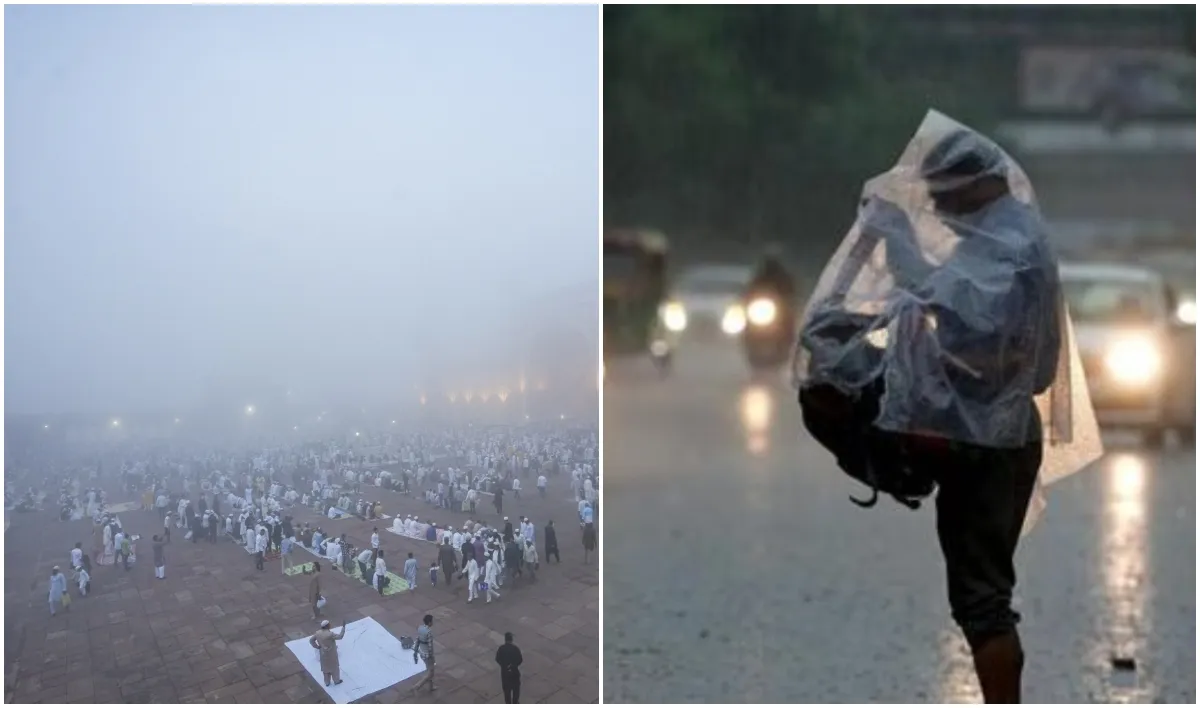 दिल्ली में कोहरा और बारिश- India TV Hindi