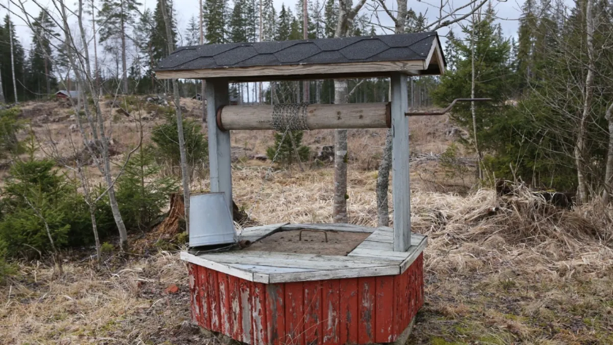 सांकेतिक तस्वीर- India TV Hindi