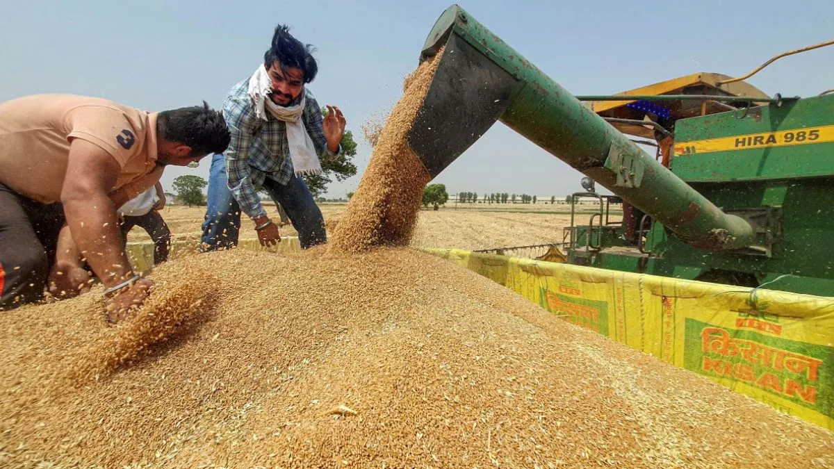 Wheat, MSP, Wheat MSP, uttar pradesh, uttar pradesh farmers, uttar pradesh government, yogi adityana- India TV Hindi