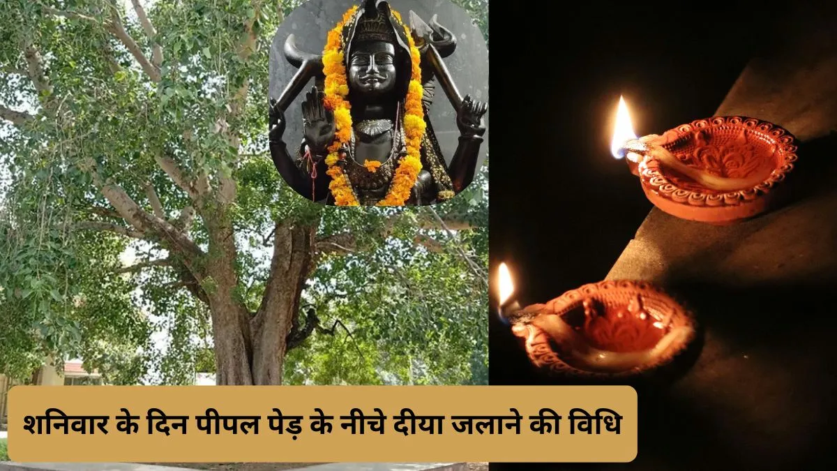 शनिवार को पीपल पेड़ की पूजा कैसे करें- India TV Hindi