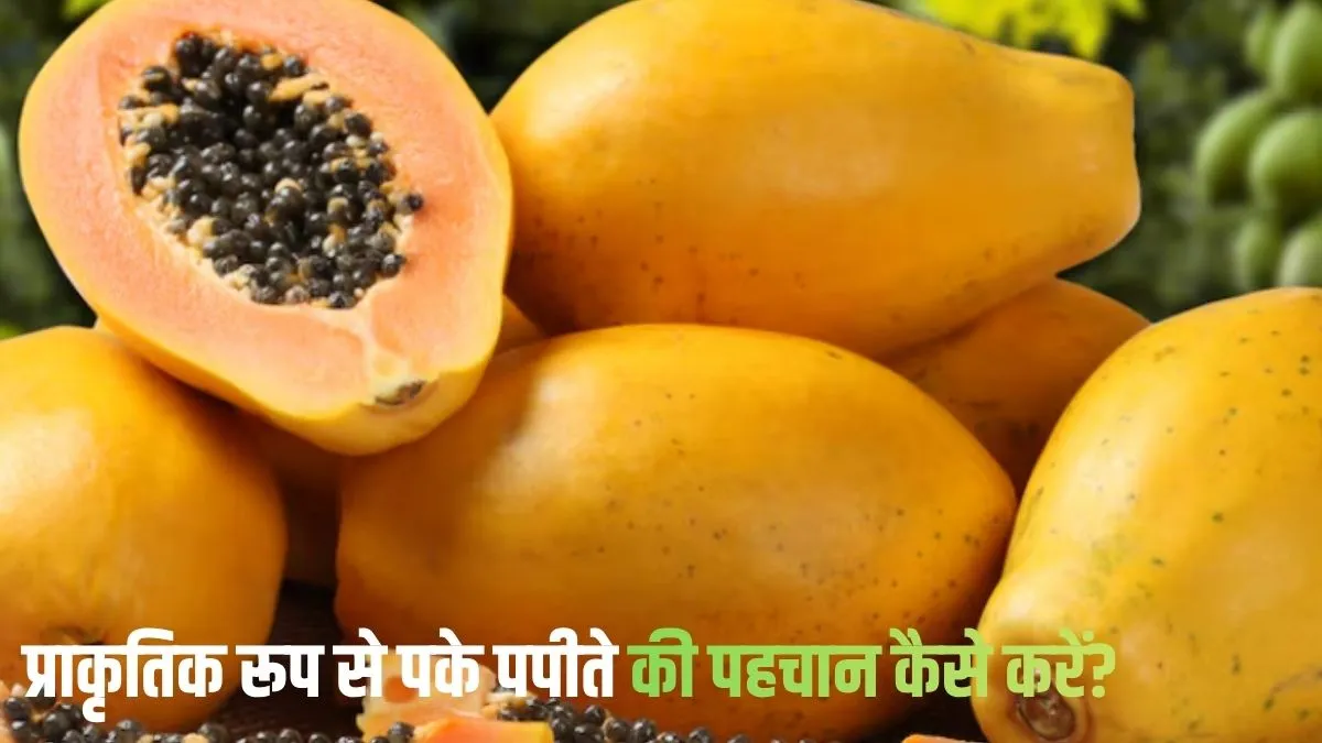 प्राकृतिक रूप से पके पपीते की पहचान कैसे करें?- India TV Hindi