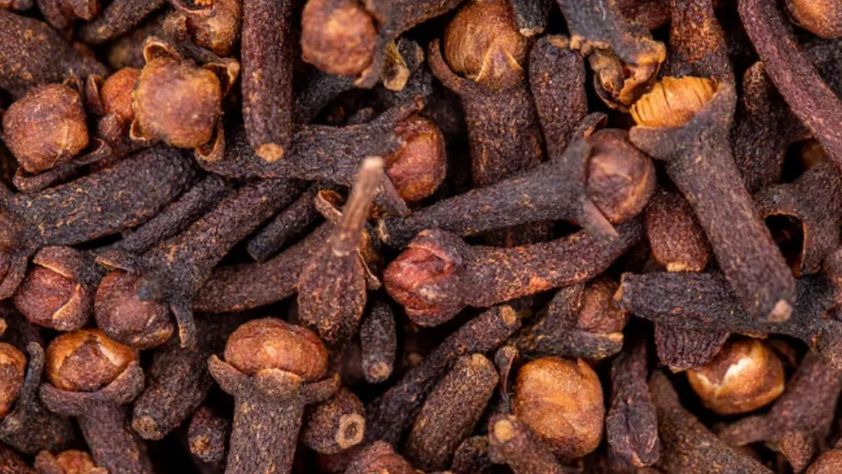 रोज खाने के बाद 1 लौंग चबाने से क्या होता है?- India TV Hindi