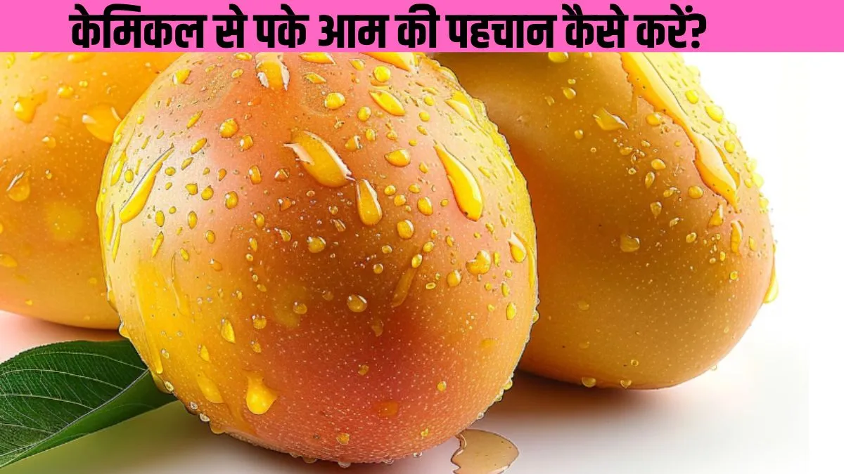 केमिकल से पके आम की पहचान कैसे करें? - India TV Hindi