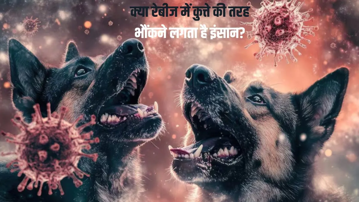 क्या रेबीज में कुत्ते की तरह भौंकने लगता है इंसान?- India TV Hindi