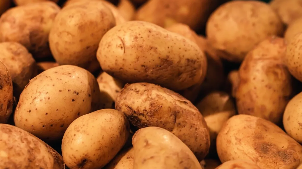 आलू को स्टोर करने का तरीका- India TV Hindi