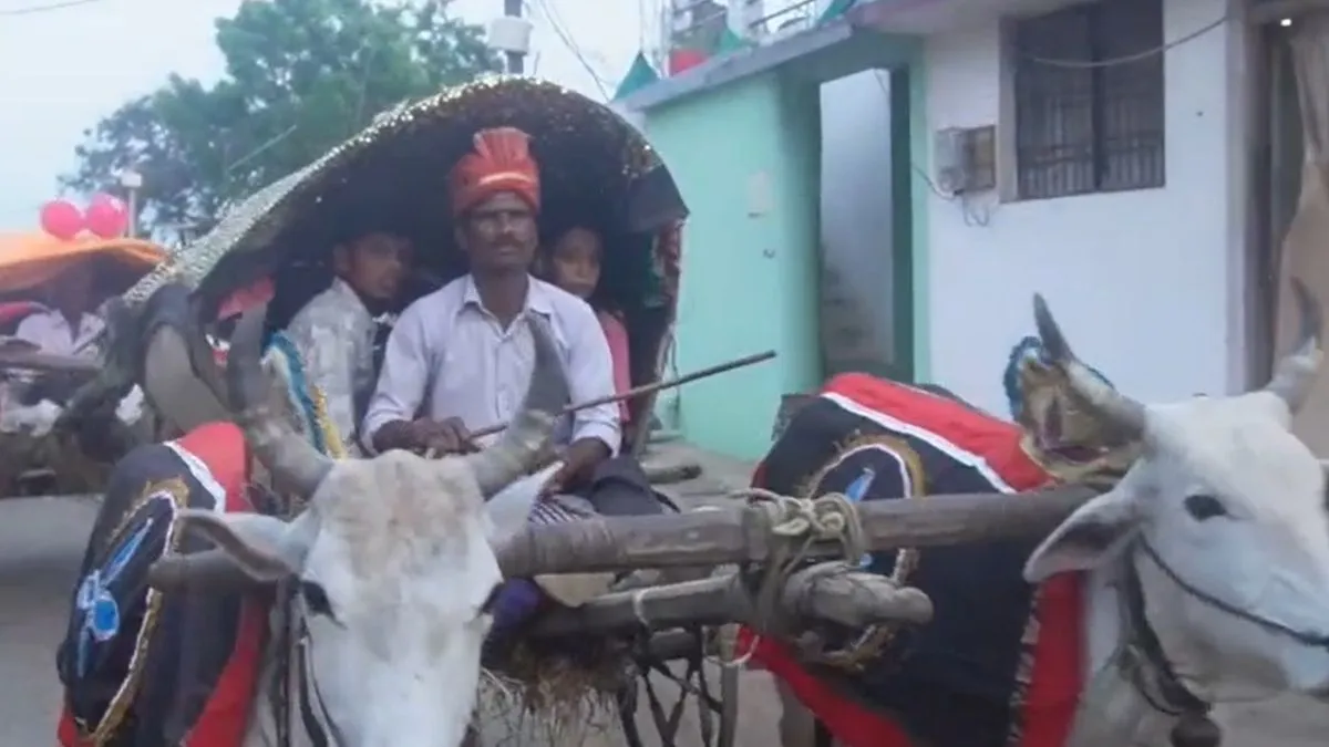 Balaghat Traditional Wedding- India TV Hindi