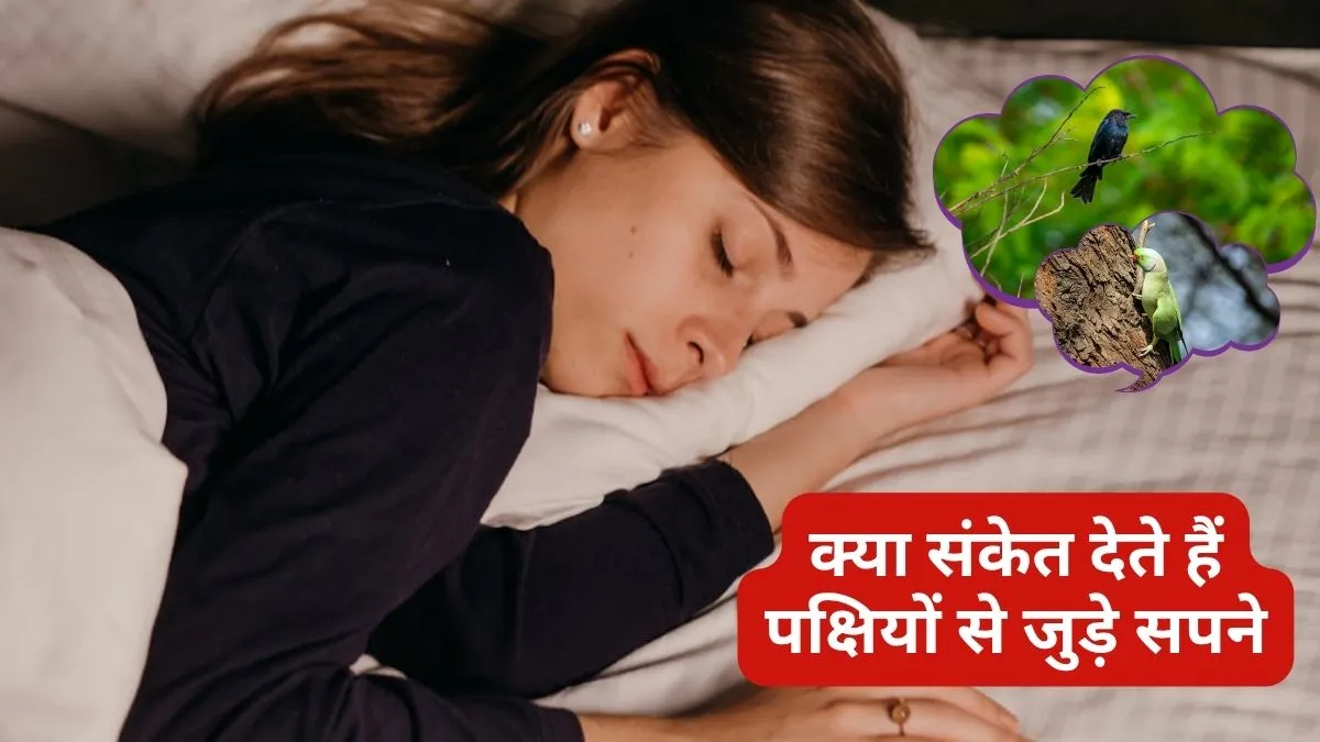 Birds Dreams Meaning- India TV Hindi