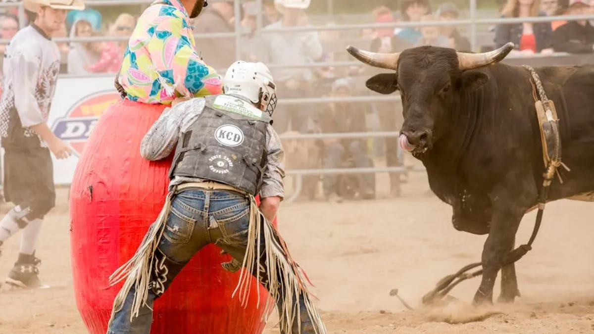 bull red color myth truth- India TV Hindi