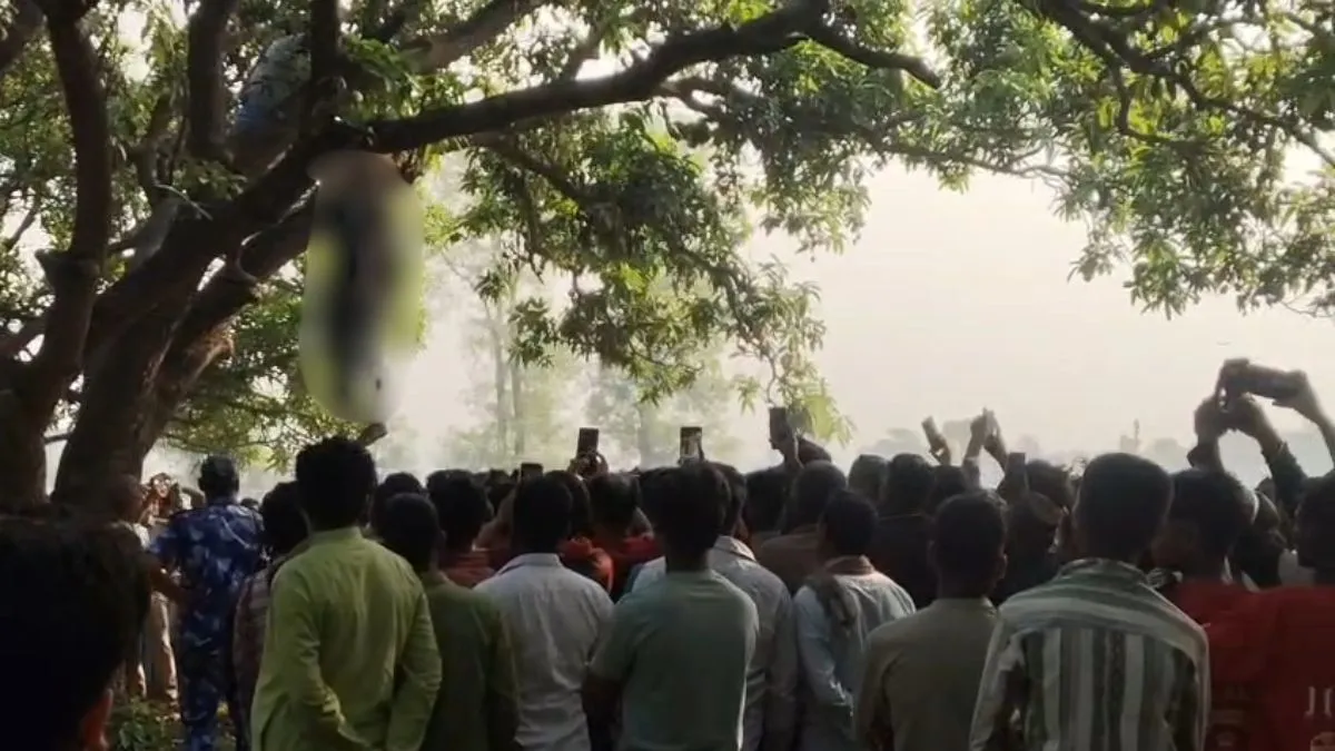 पेड़ से लटका मिला प्रेमी जोड़े का शव- India TV Hindi