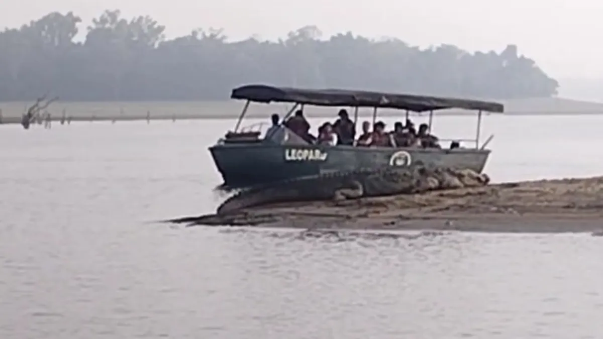 किनारे पर दिखा मगरमच्छ- India TV Hindi