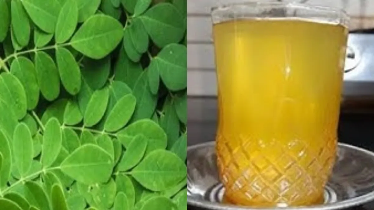 सहजन की पत्तियों का पानी- India TV Hindi