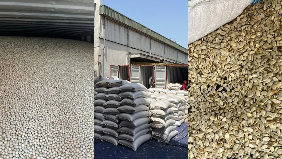 न्हावा शेवा बंदरगाह पर तस्करी के रैकेट का हुआ पर्दाफाश- India TV Hindi