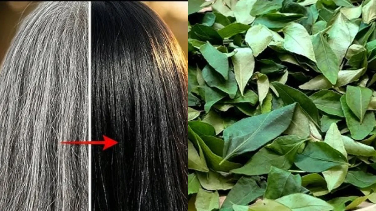 सफेद बालों को नेचुरली काला करने का तरीका- India TV Hindi