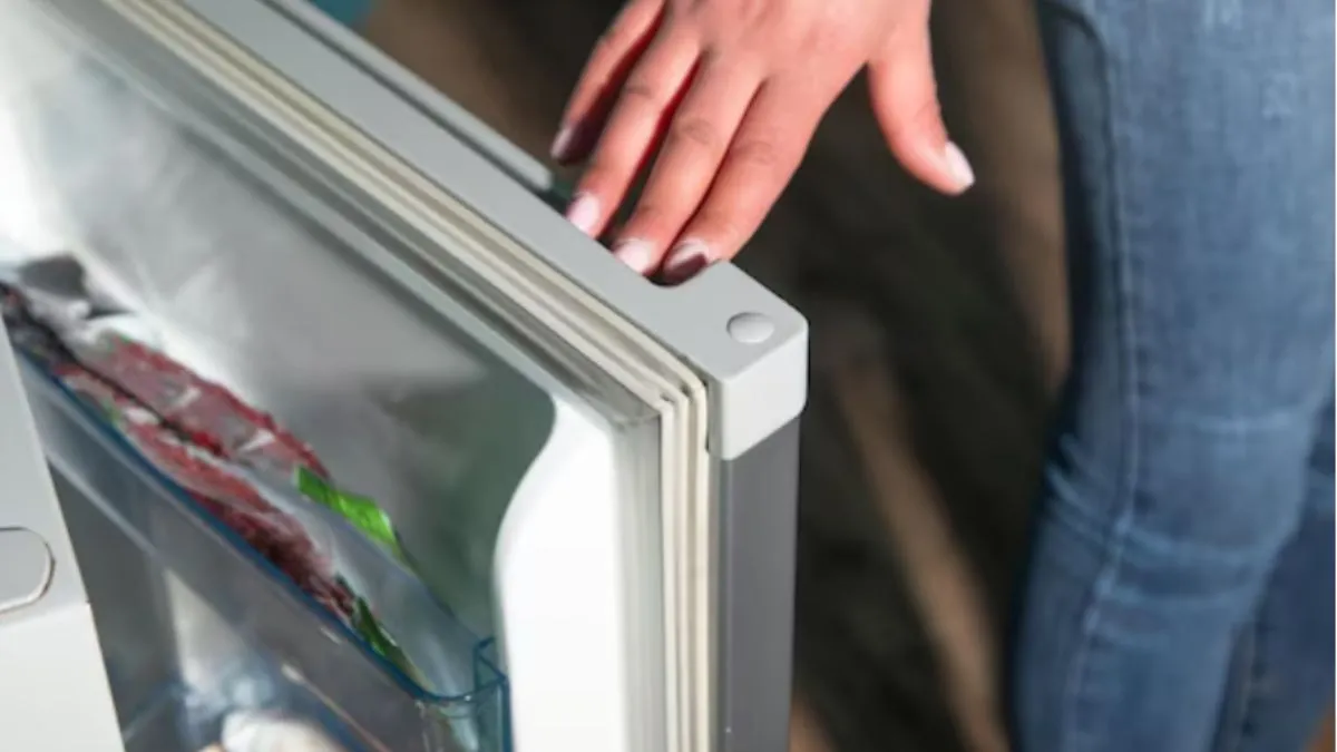 Why Does Fridge Door Has Rubber, Fridge door rubber, Fridge Door Gasket, Refrigerator Rubber Gasket - India TV Hindi
