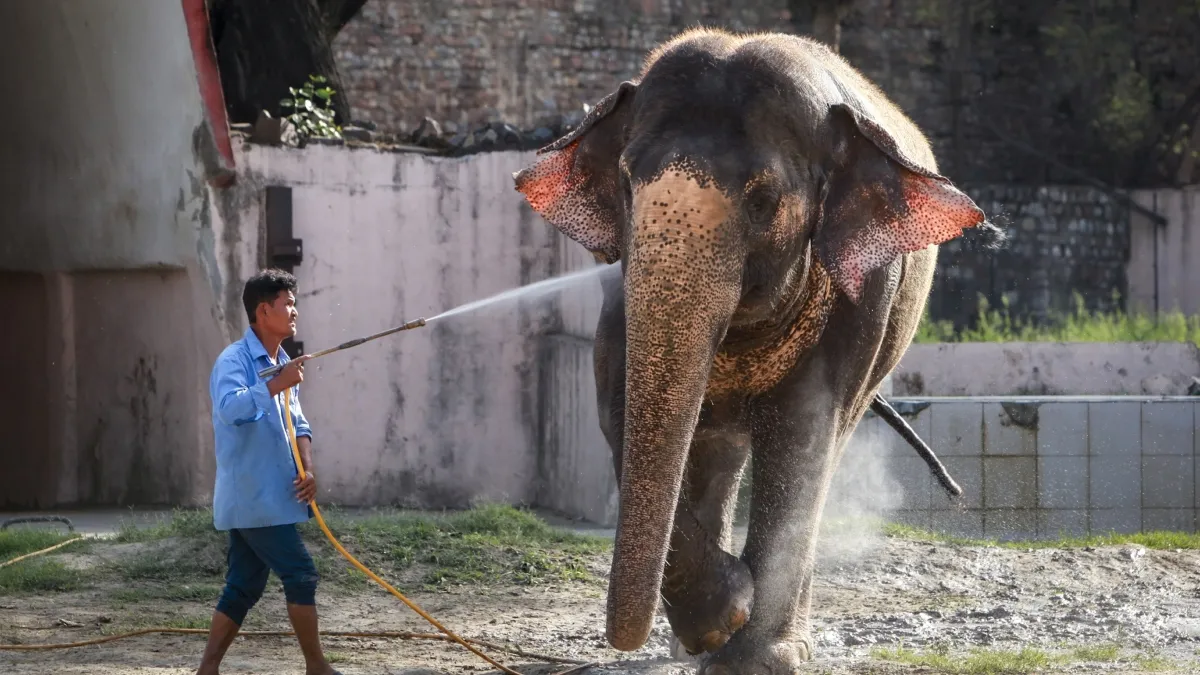 Weather- India TV Hindi