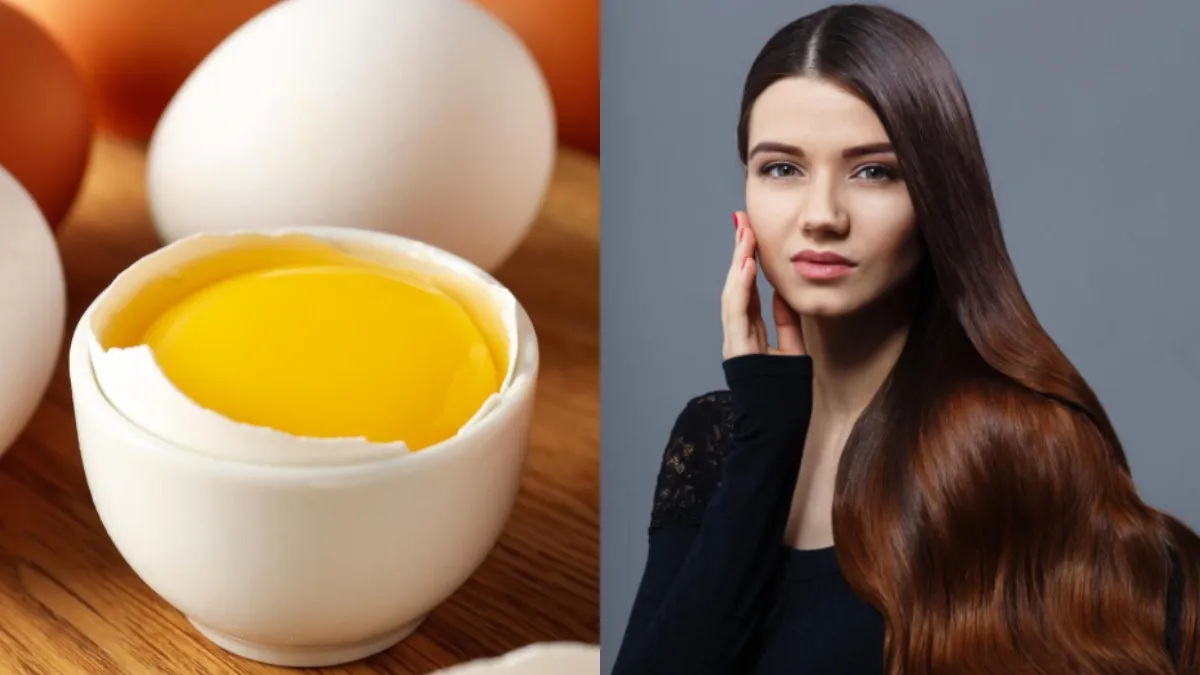 बालों पर अंडा लगाने का तरीका- India TV Hindi