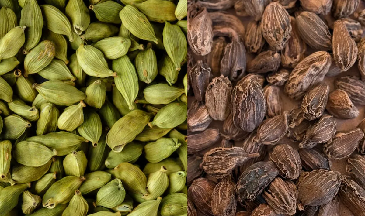 हरी और काली इलायची में अंतर- India TV Hindi